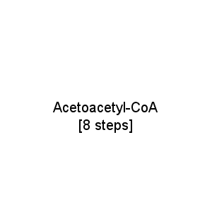 Acetoacetyl-CoA [8 steps]